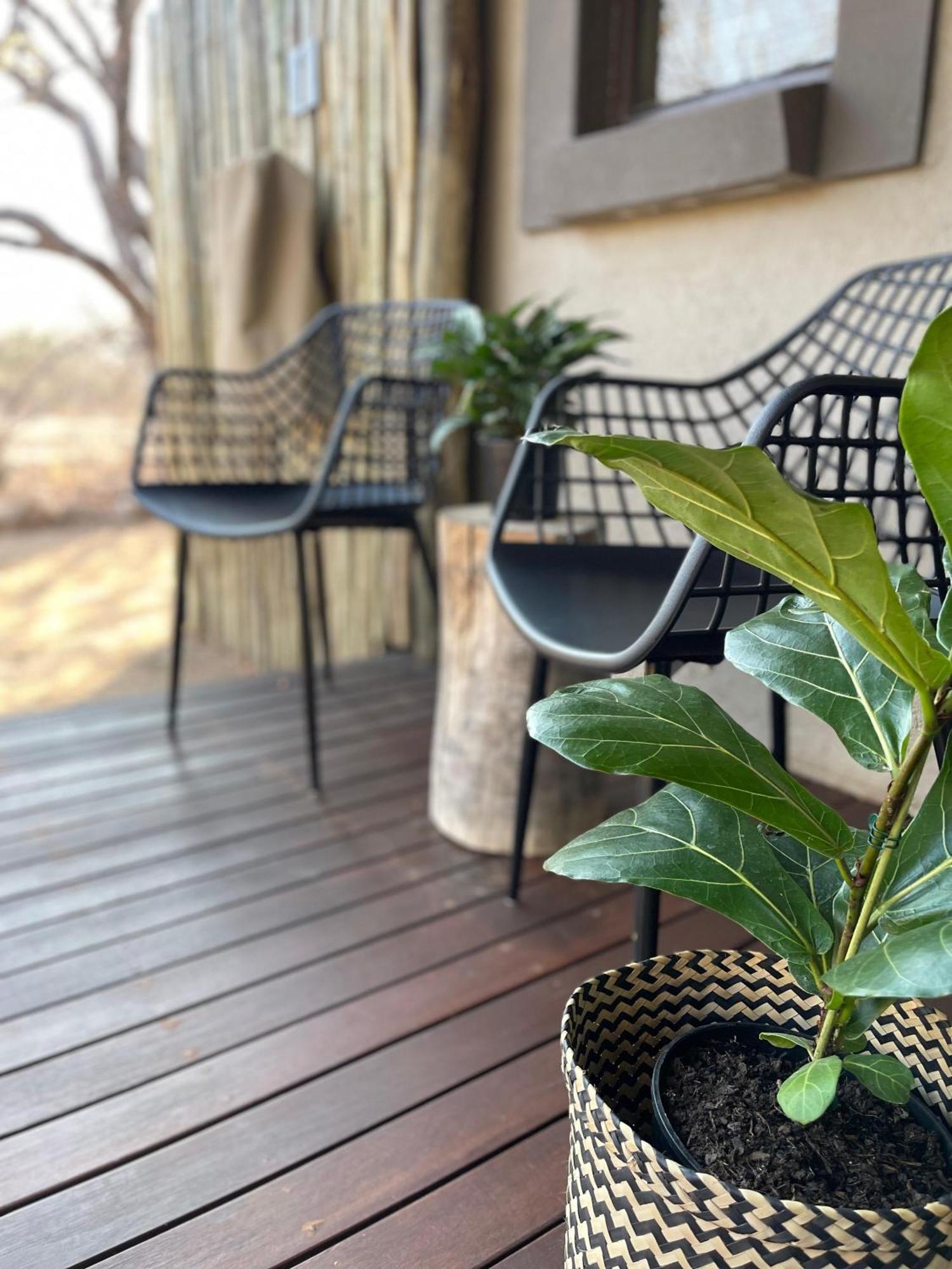 The Baobab Bush Lodge And Villa フッドスプルイト エクステリア 写真