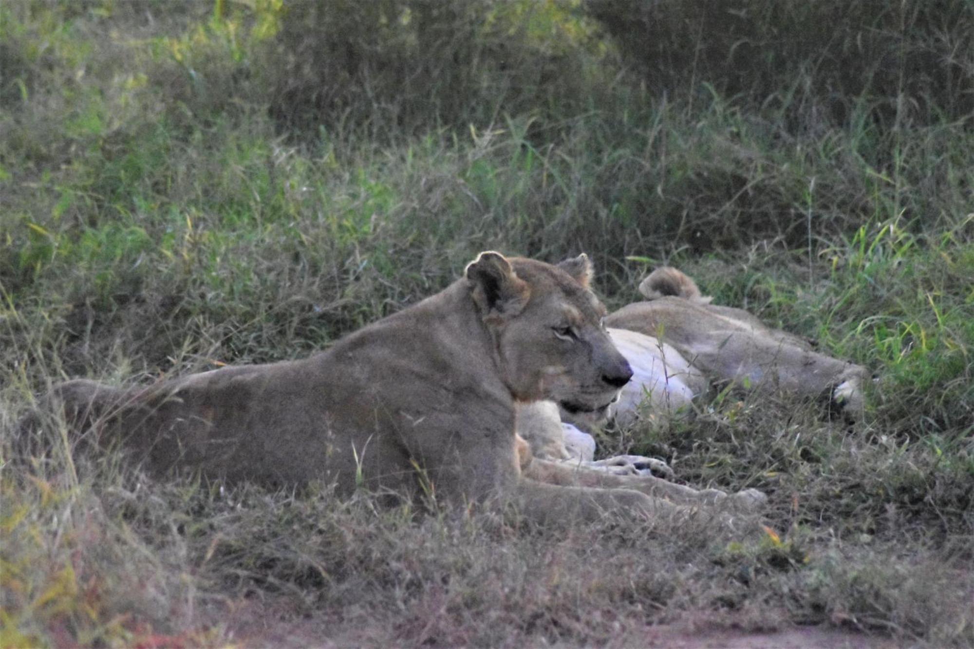 The Baobab Bush Lodge And Villa フッドスプルイト エクステリア 写真