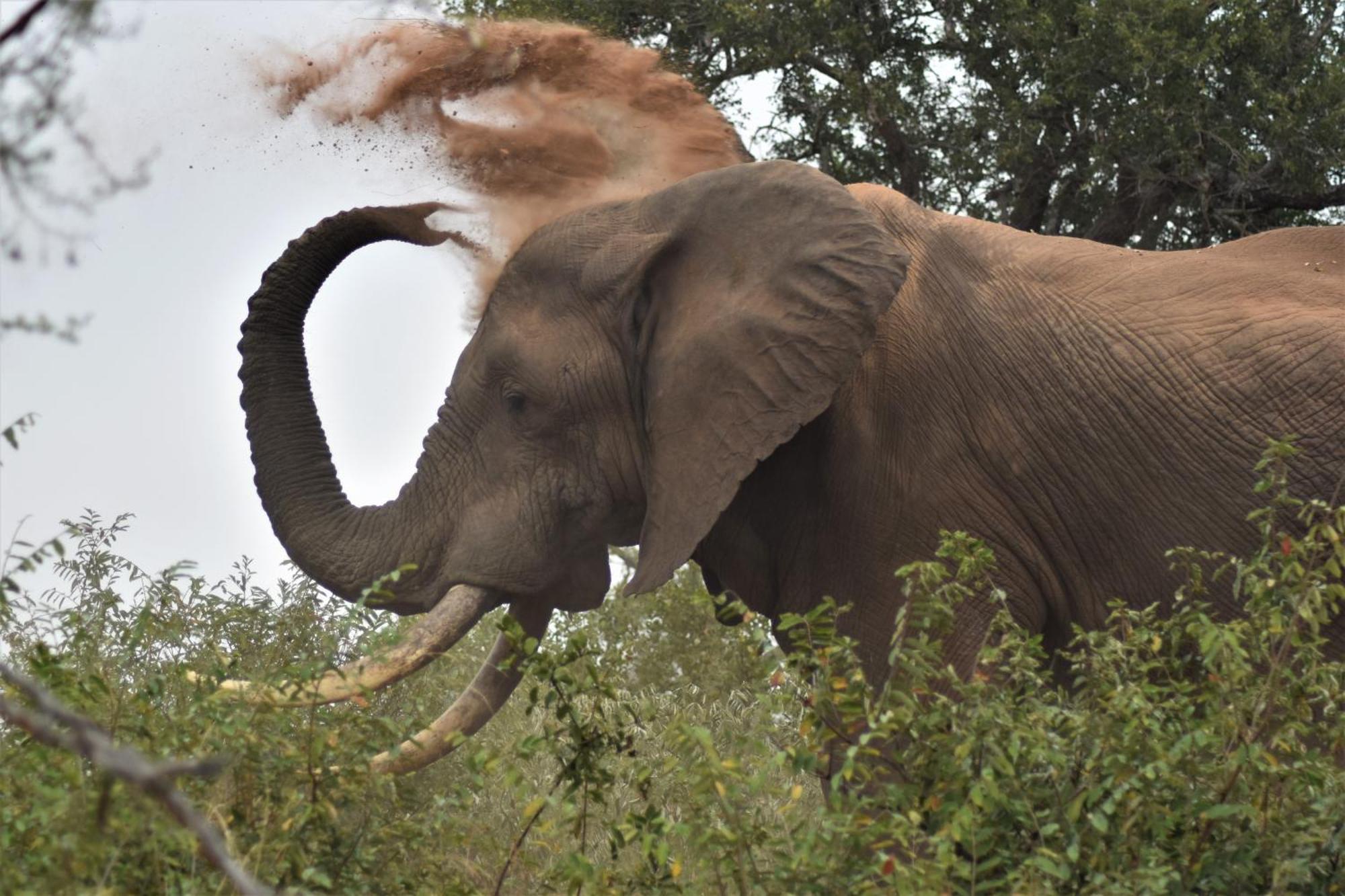 The Baobab Bush Lodge And Villa フッドスプルイト エクステリア 写真