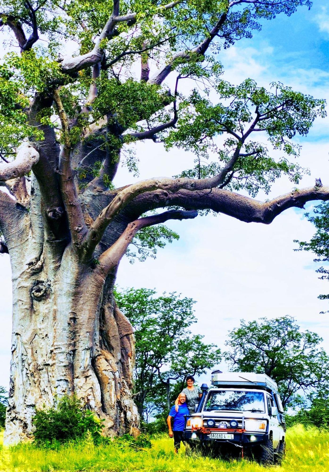 The Baobab Bush Lodge And Villa フッドスプルイト エクステリア 写真