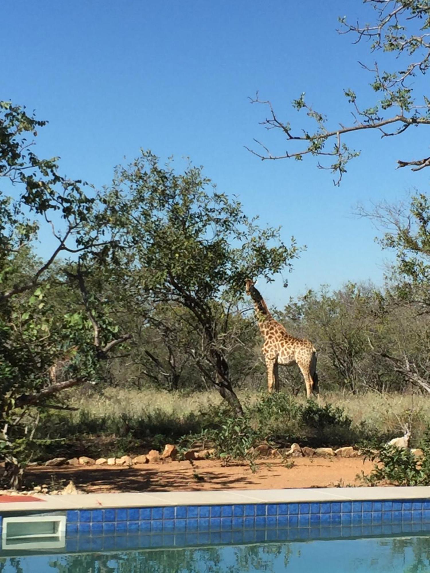 The Baobab Bush Lodge And Villa フッドスプルイト エクステリア 写真