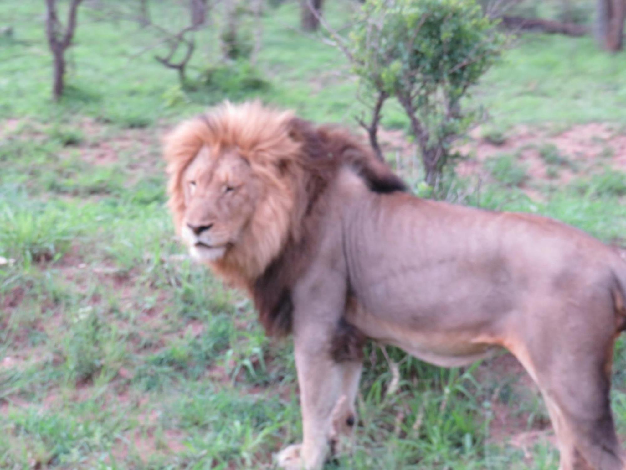 The Baobab Bush Lodge And Villa フッドスプルイト エクステリア 写真