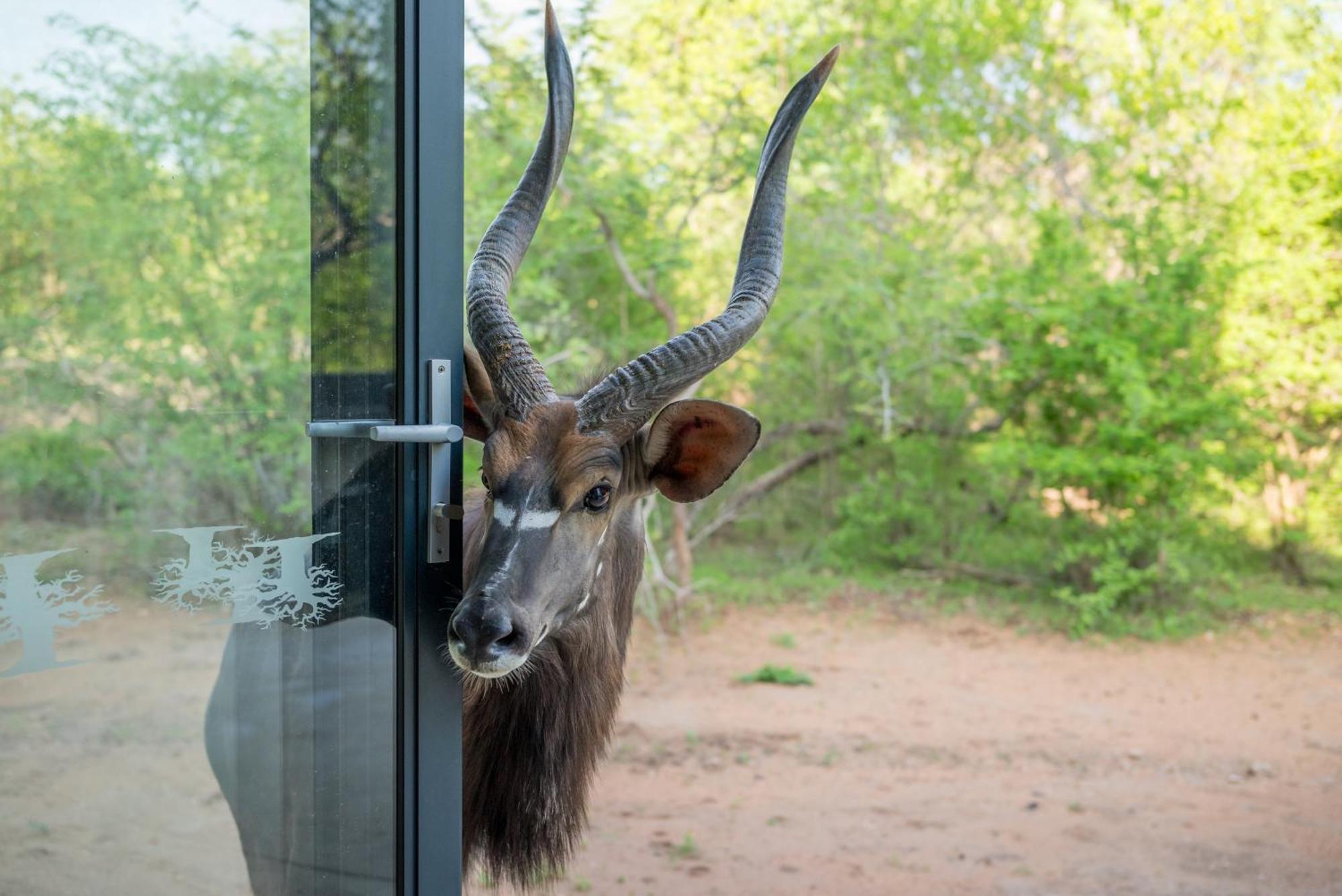 The Baobab Bush Lodge And Villa フッドスプルイト エクステリア 写真