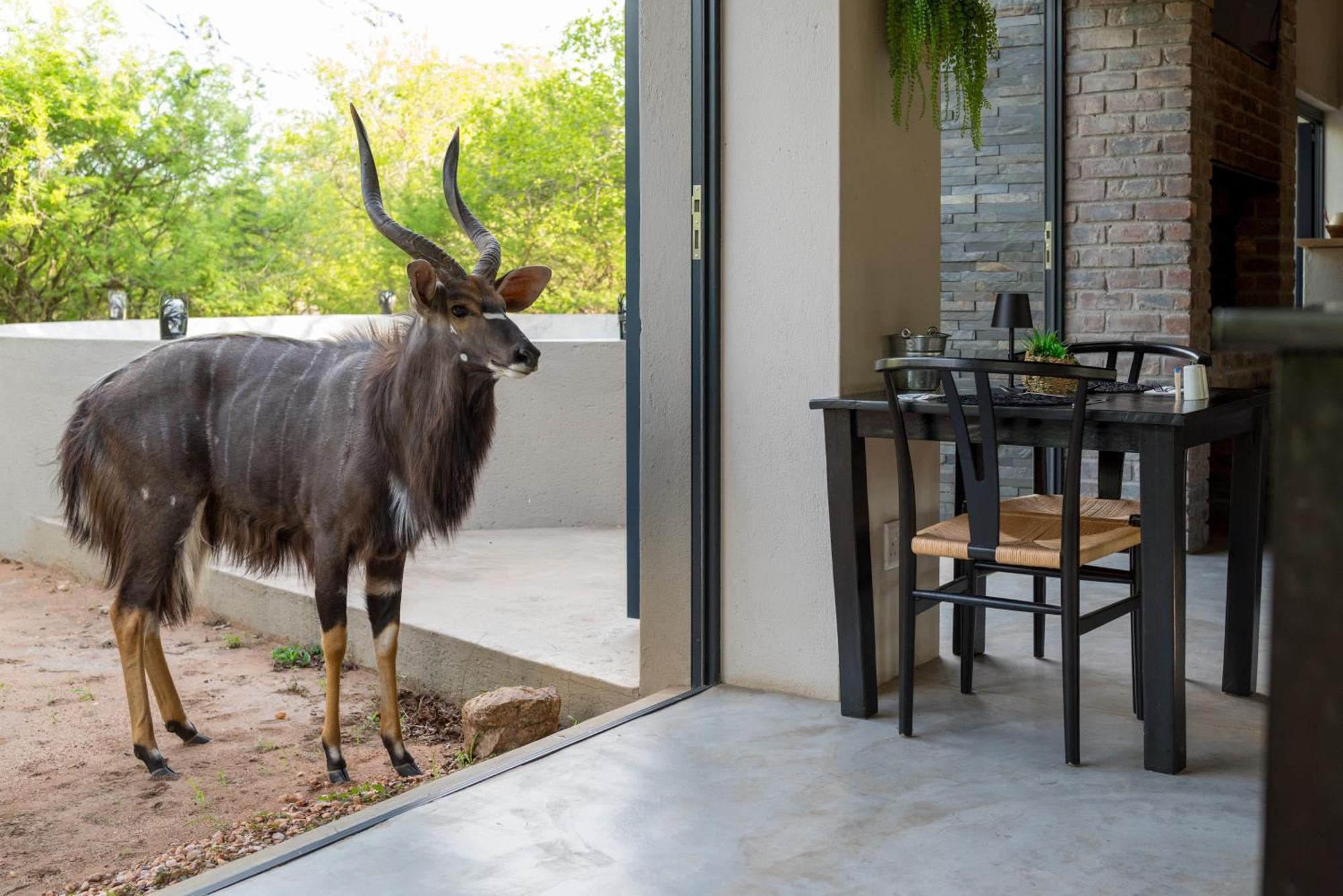 The Baobab Bush Lodge And Villa フッドスプルイト エクステリア 写真